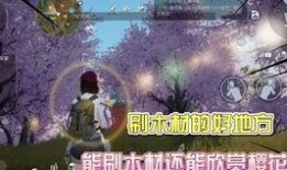 黎明觉醒皮肤最新爆料,揭秘全新皮肤“曙光破晓”的神秘魅力